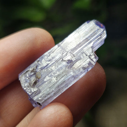 Tanzanite Terminated Crystal 6.28g