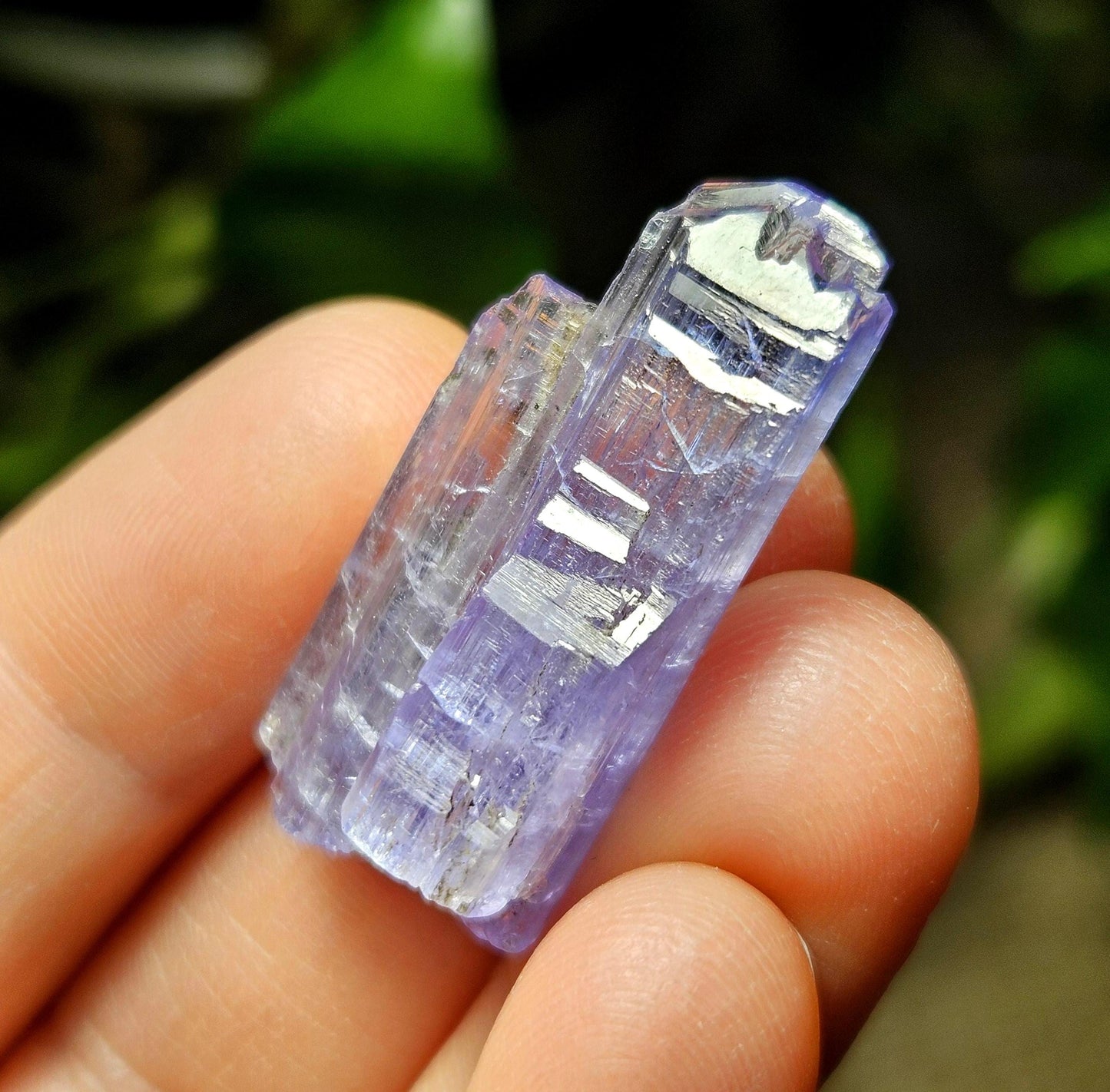 Tanzanite Terminated Crystal 6.28g