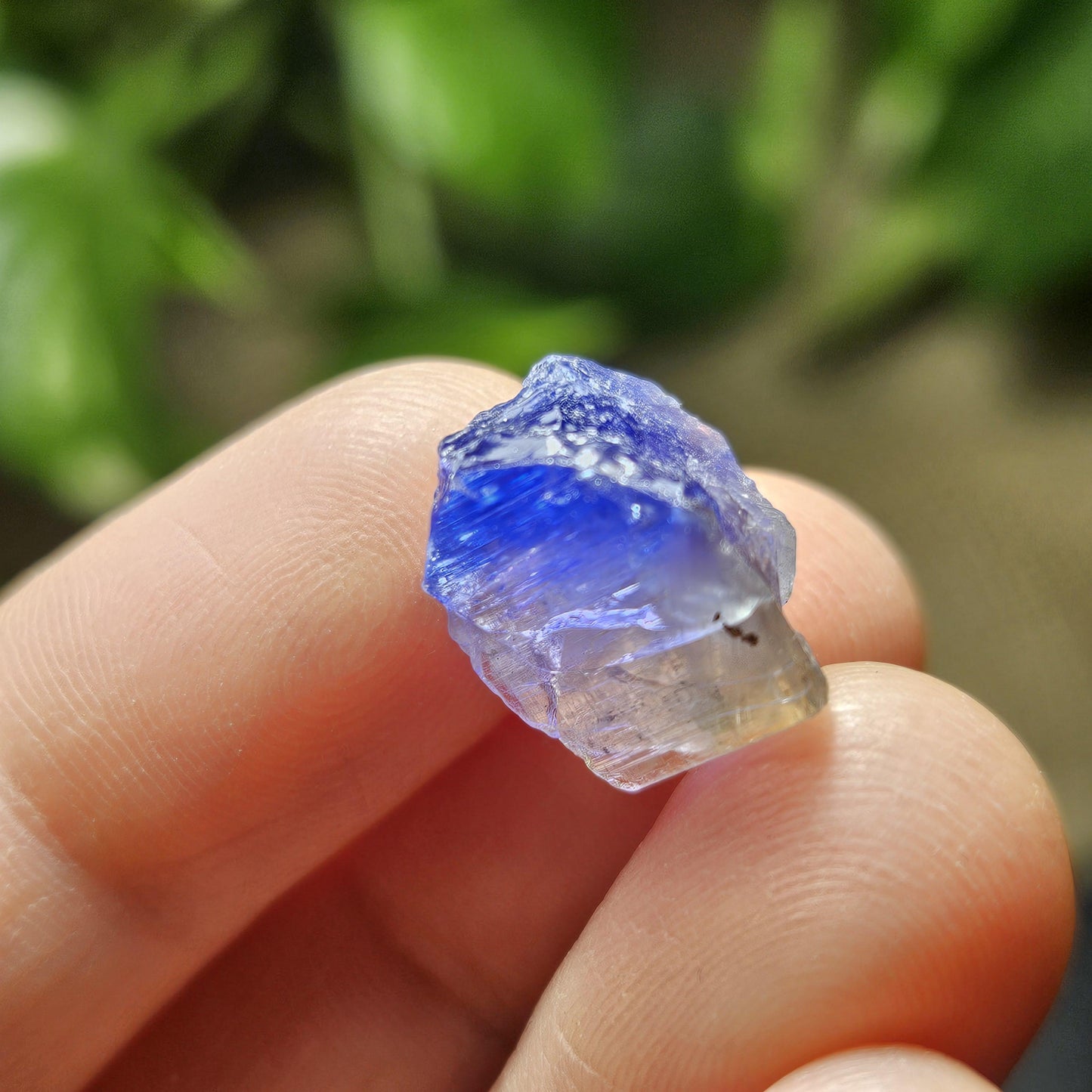 Bicolor Tanzanite Crystal (2.54g)