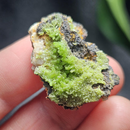 Pyromorphite Crystal Cluster, Rare Green Pseudomorph Specimen (25x19mm)
