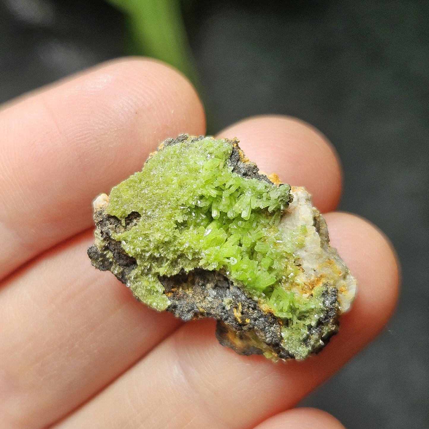 Pyromorphite Crystal Cluster, Rare Green Pseudomorph Specimen (25x19mm)