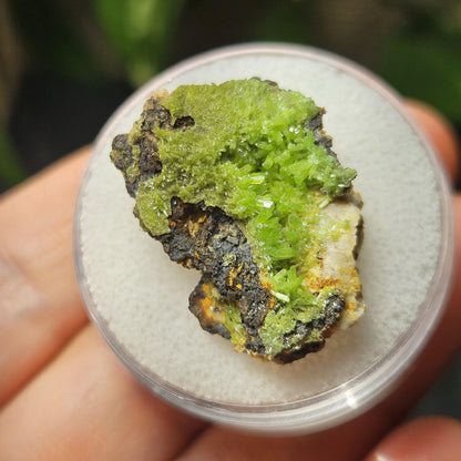 Pyromorphite Crystal Cluster, Rare Green Pseudomorph Specimen (25x19mm)
