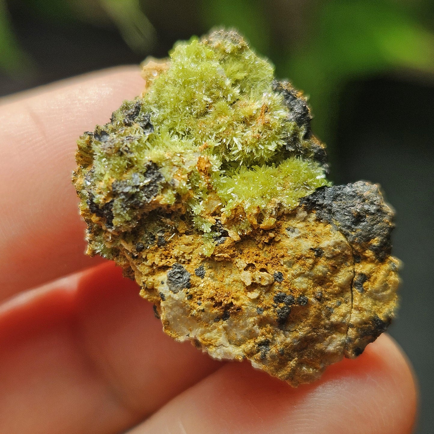 Pyromorphite Crystal Cluster, Rare Green Pseudomorph Specimen (25x19mm)