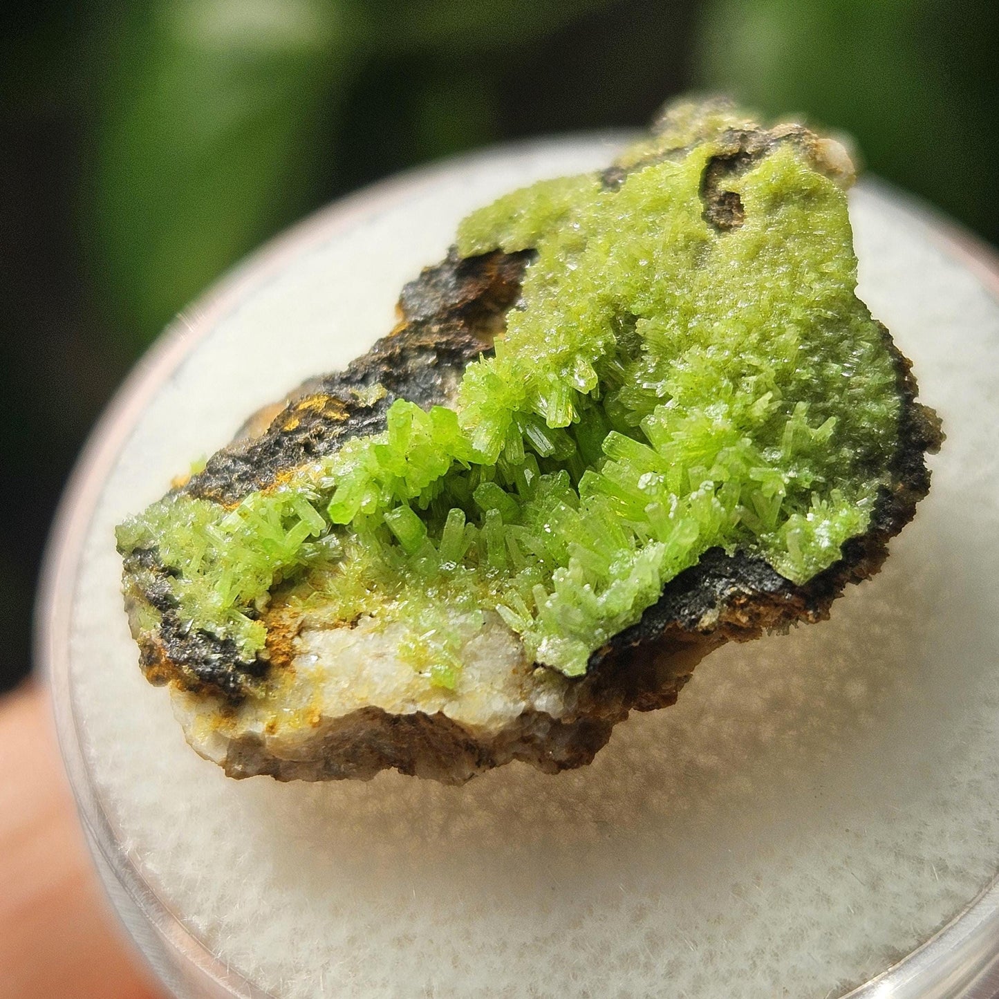 Pyromorphite Crystal Cluster, Rare Green Pseudomorph Specimen (25x19mm)