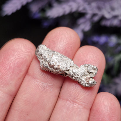 Michigan "Halfbreed" Silver Nugget 5g