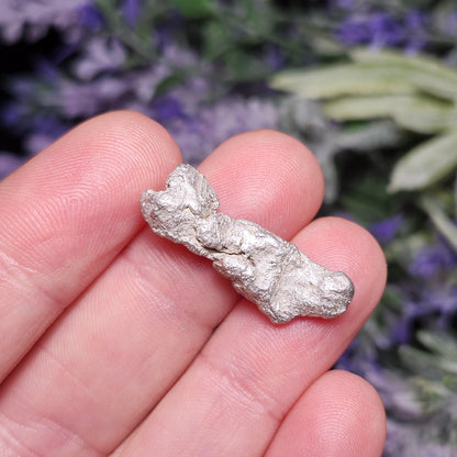 Michigan "Halfbreed" Silver Nugget 5g