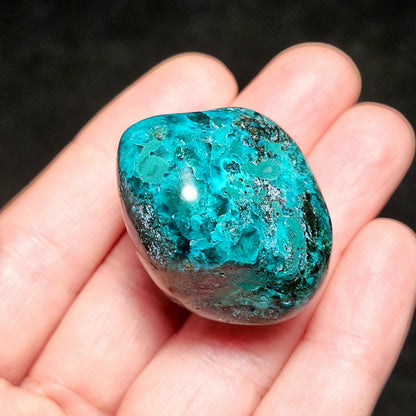 Polished Dioptase Crystal from the Congo 38.36g, Congo Dioptase Specimen, DRC Dioptase Crystal
