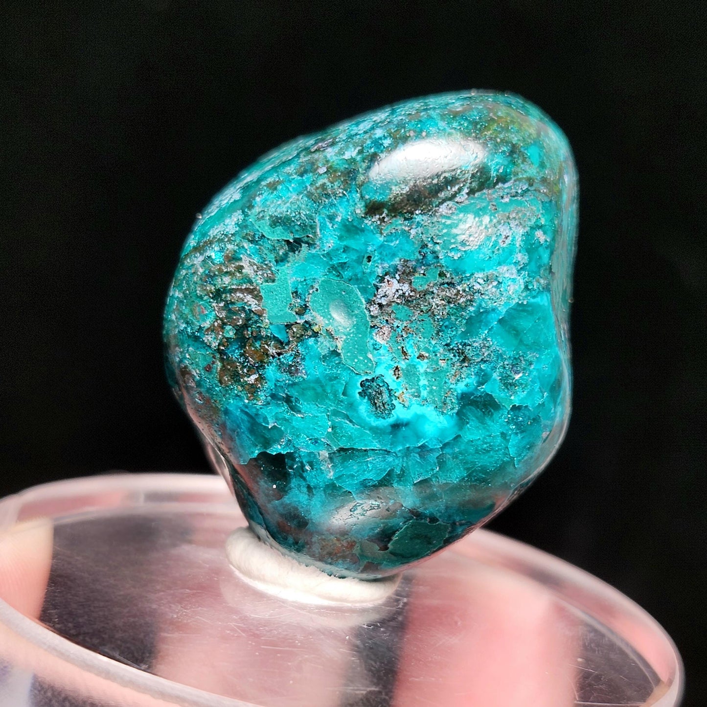 Polished Dioptase Crystal from the Congo 38.36g, Congo Dioptase Specimen, DRC Dioptase Crystal