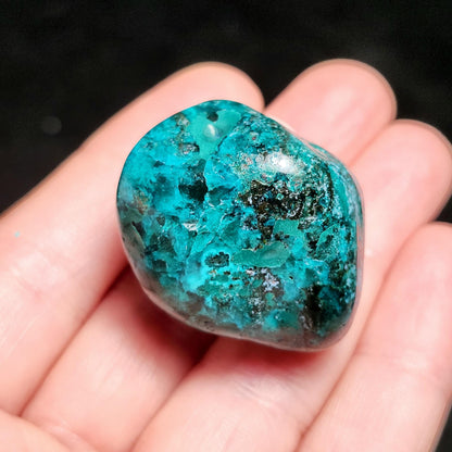 Polished Dioptase Crystal from the Congo 38.36g, Congo Dioptase Specimen, DRC Dioptase Crystal