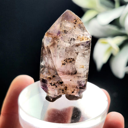 Enhydro Shangaan Amethyst 43g