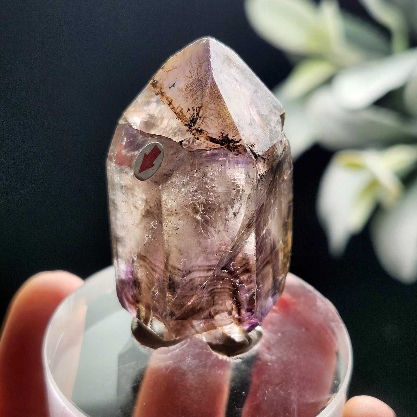 Enhydro Shangaan Amethyst 43g