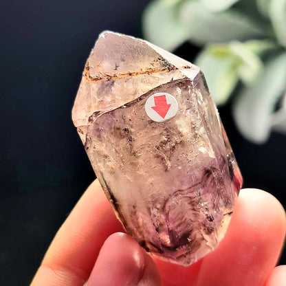 Enhydro Shangaan Amethyst 43g