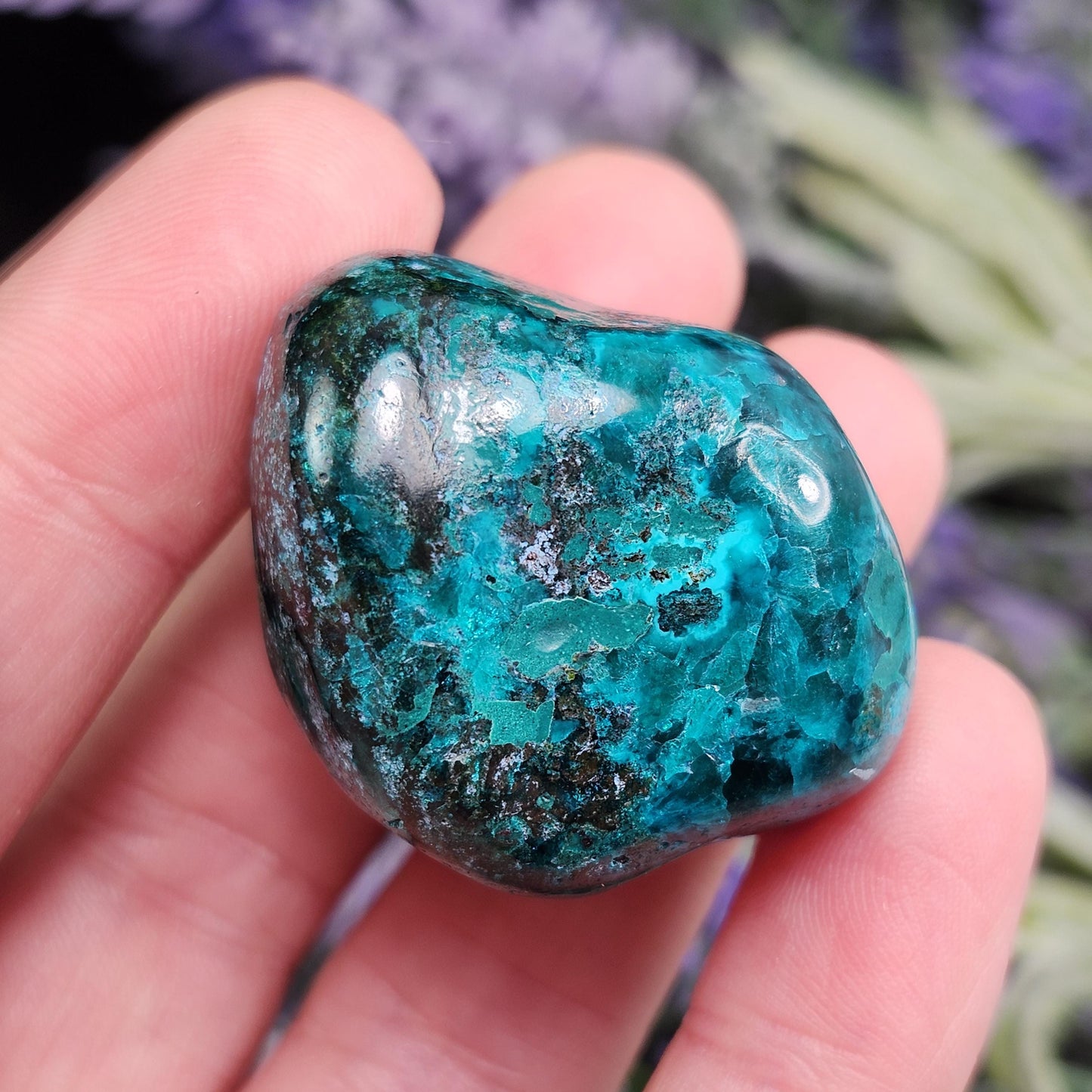 Polished Dioptase Crystal from the Congo 38.36g, Congo Dioptase Specimen, DRC Dioptase Crystal