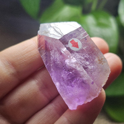 Enhydro Violet Amethyst Crystal, MOVING Water Bubble (40x26x21mm)