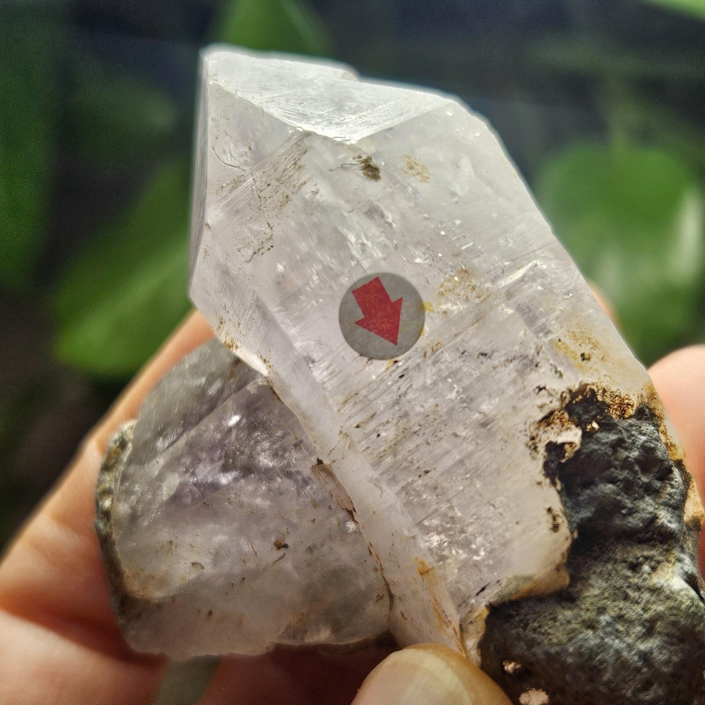 Enhydro Manifestation Crystal, MOVING Water Bubble (90g)