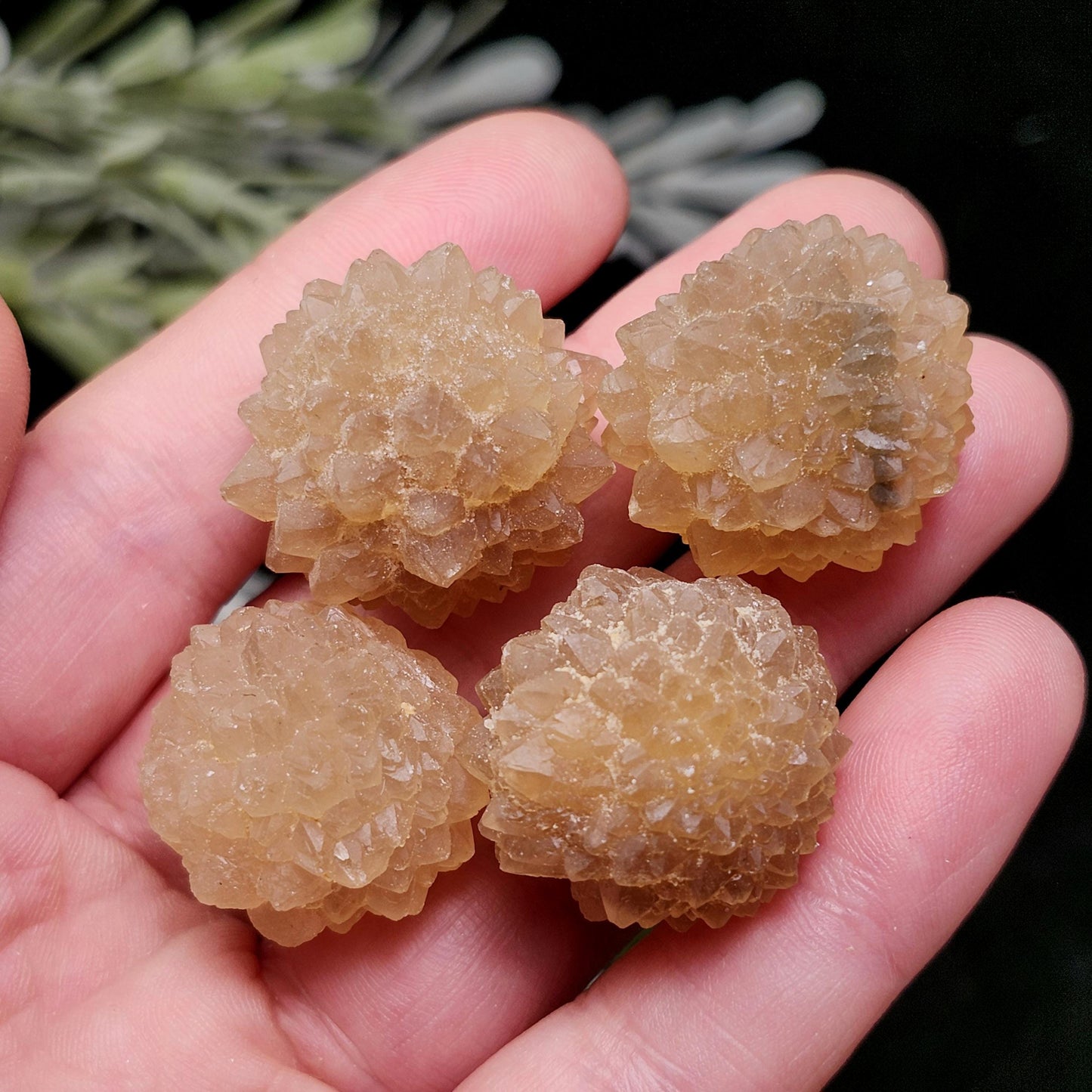 Natural Star Citrine from Morocco