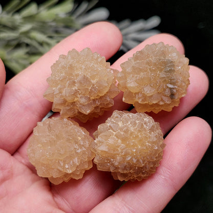 Natural Star Citrine from Morocco