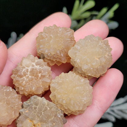 Natural Star Citrine from Morocco