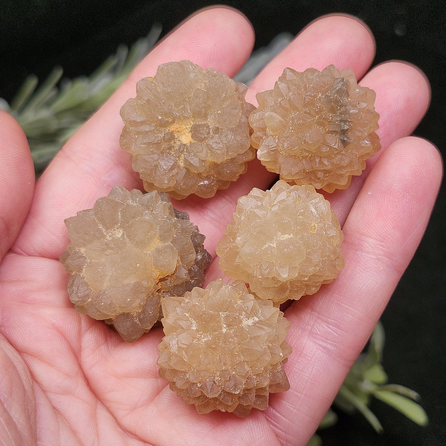 Natural Star Citrine from Morocco