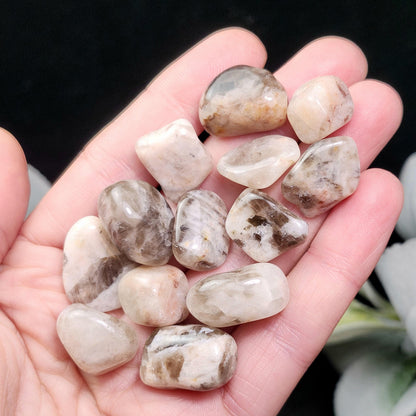 Belomorite Smoky Moonstone Crystal