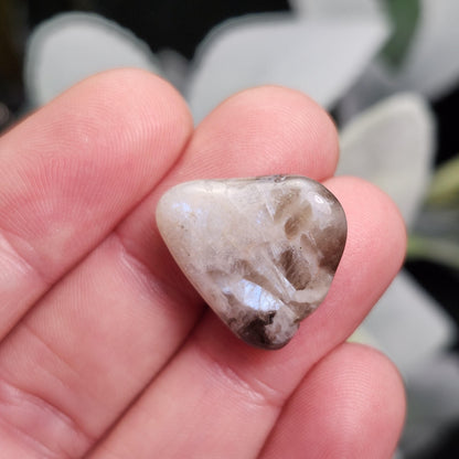 Belomorite Smoky Moonstone Crystal