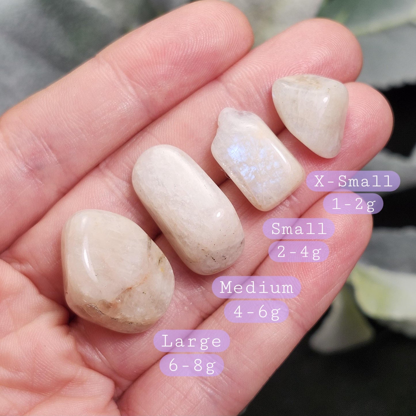 Belomorite Rainbow Moonstone Crystal