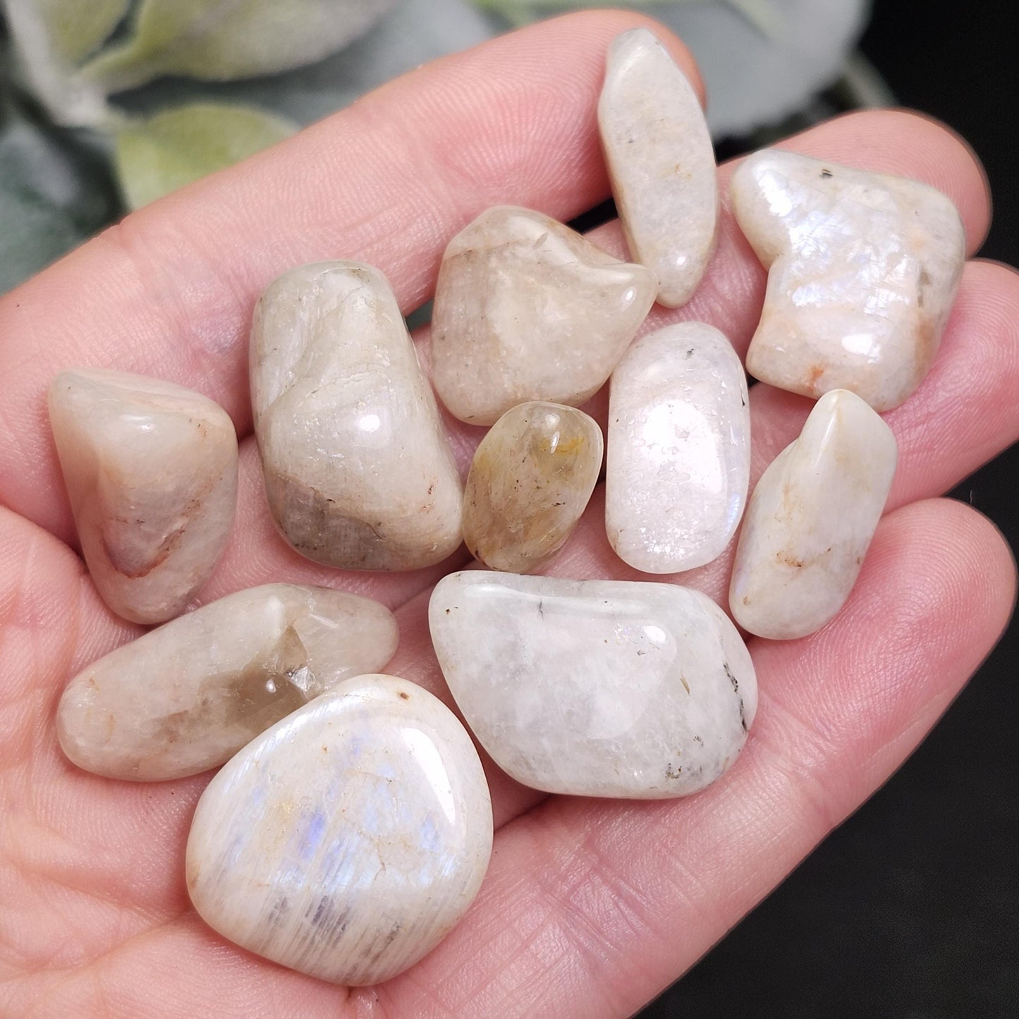 Belomorite Rainbow Moonstone Crystal
