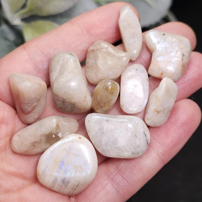 Belomorite Rainbow Moonstone Crystal