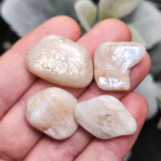 Belomorite Rainbow Moonstone Crystal