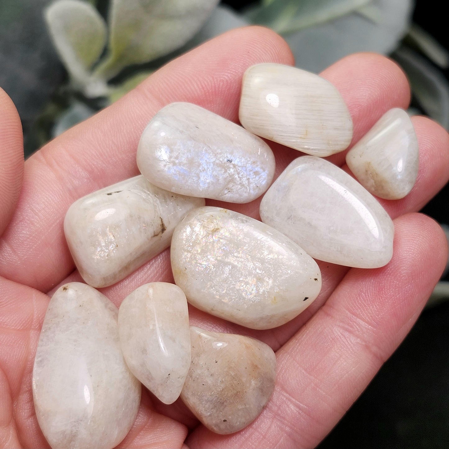Belomorite Rainbow Moonstone Crystal