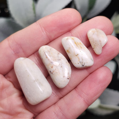 Belomorite White Moonstone Crystal