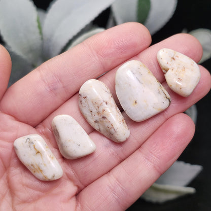 Belomorite White Moonstone Crystal