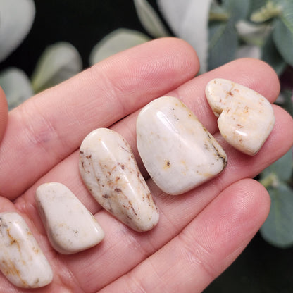 Belomorite White Moonstone Crystal