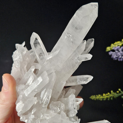 Arkansas Quartz Crystal Cluster, 343 grams