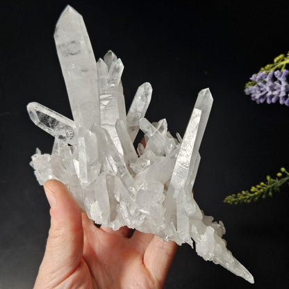 Arkansas Quartz Crystal Cluster, 343 grams