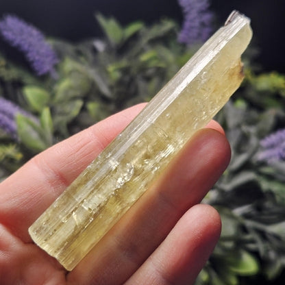 Heliodor Crystal Specimen 38.0g, LARGE Heliodor from Brazil, Golden Beryl