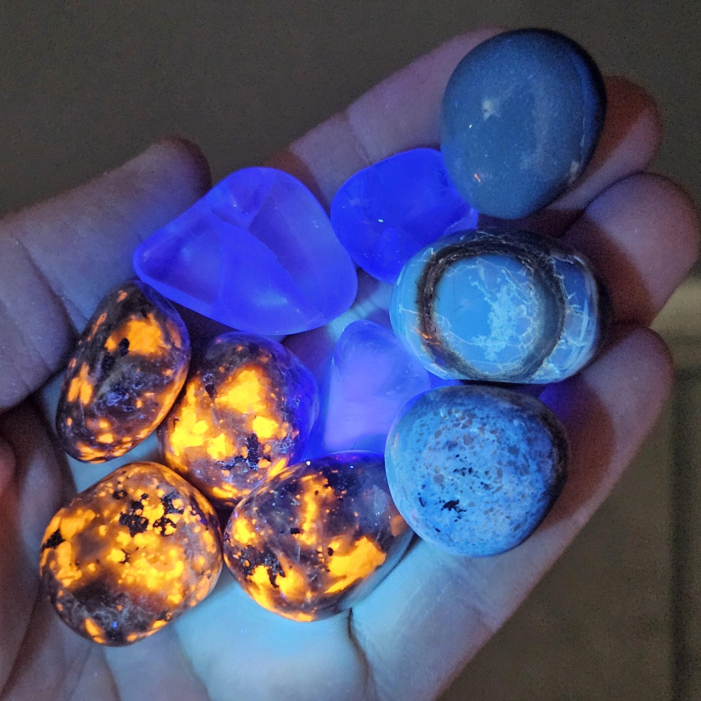 Yooperlite, Blue Amber & Fluorite : Set of 3 UV REACTIVE Crystals, Choose 1 or all 3!