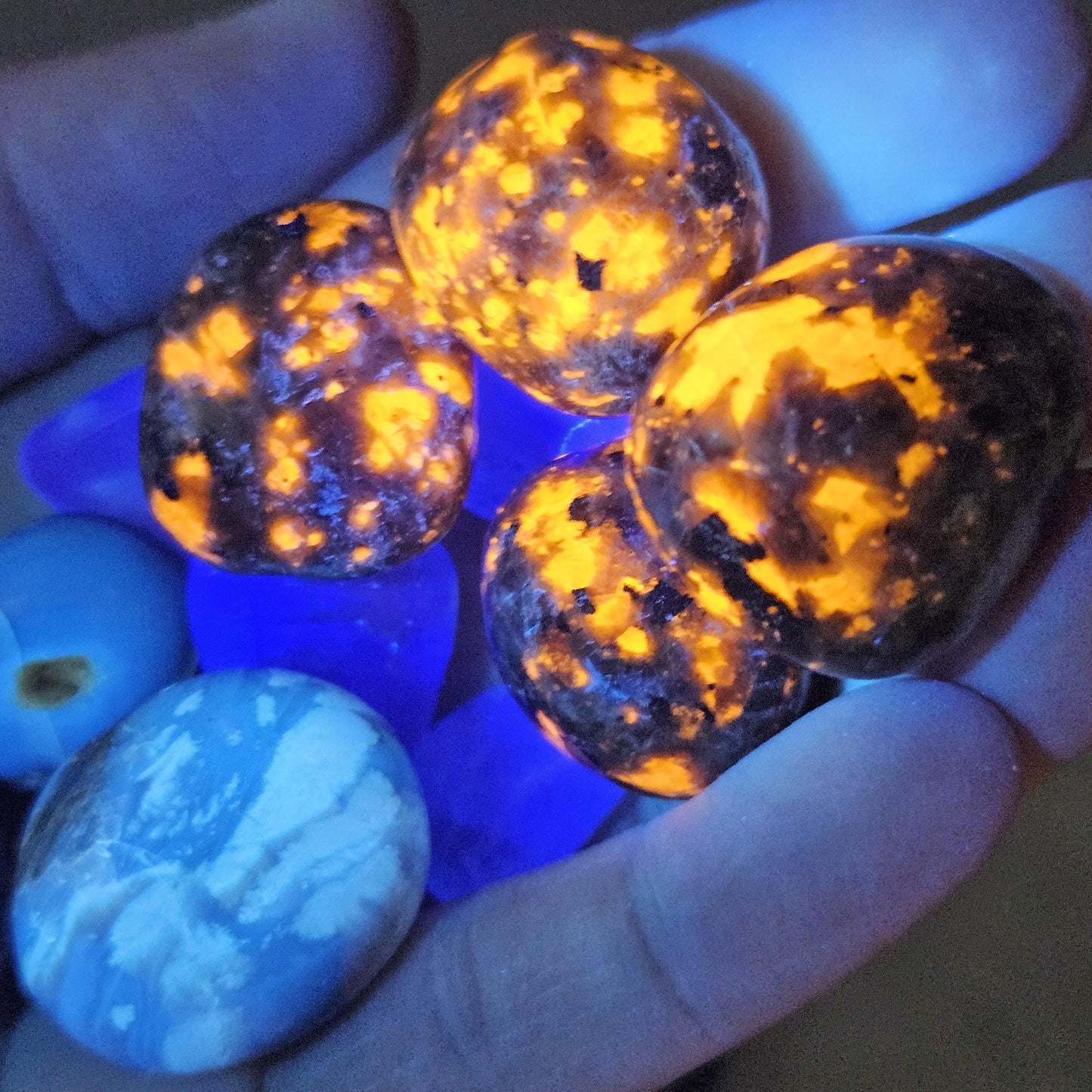 Yooperlite, Blue Amber & Fluorite : Set of 3 UV REACTIVE Crystals, Choose 1 or all 3!