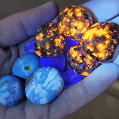 Yooperlite, Blue Amber & Fluorite : Set of 3 UV REACTIVE Crystals, Choose 1 or all 3!