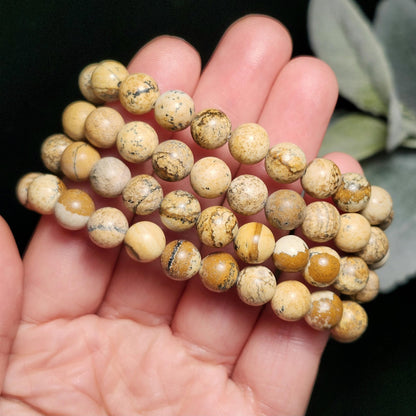 Picture Jasper Bracelet