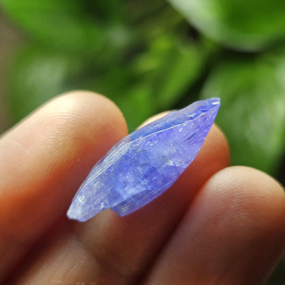 Tanzanite Crystal, Terminated 2.35g Specimen from Tanzania