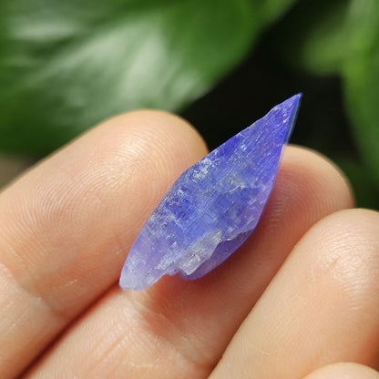 Tanzanite Crystal, Terminated 2.35g Specimen from Tanzania