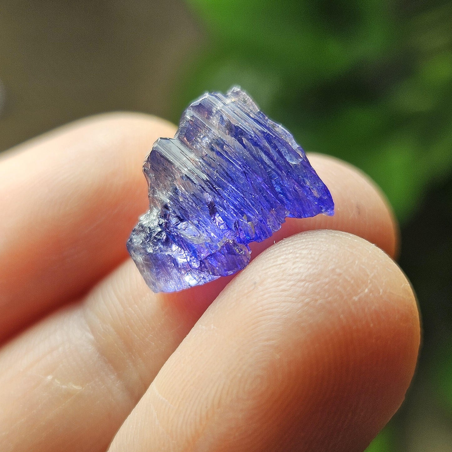 Tanzanite Bicolor Terminated Crystal 2.0 grams