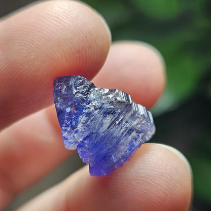 Tanzanite Bicolor Terminated Crystal 2.0 grams