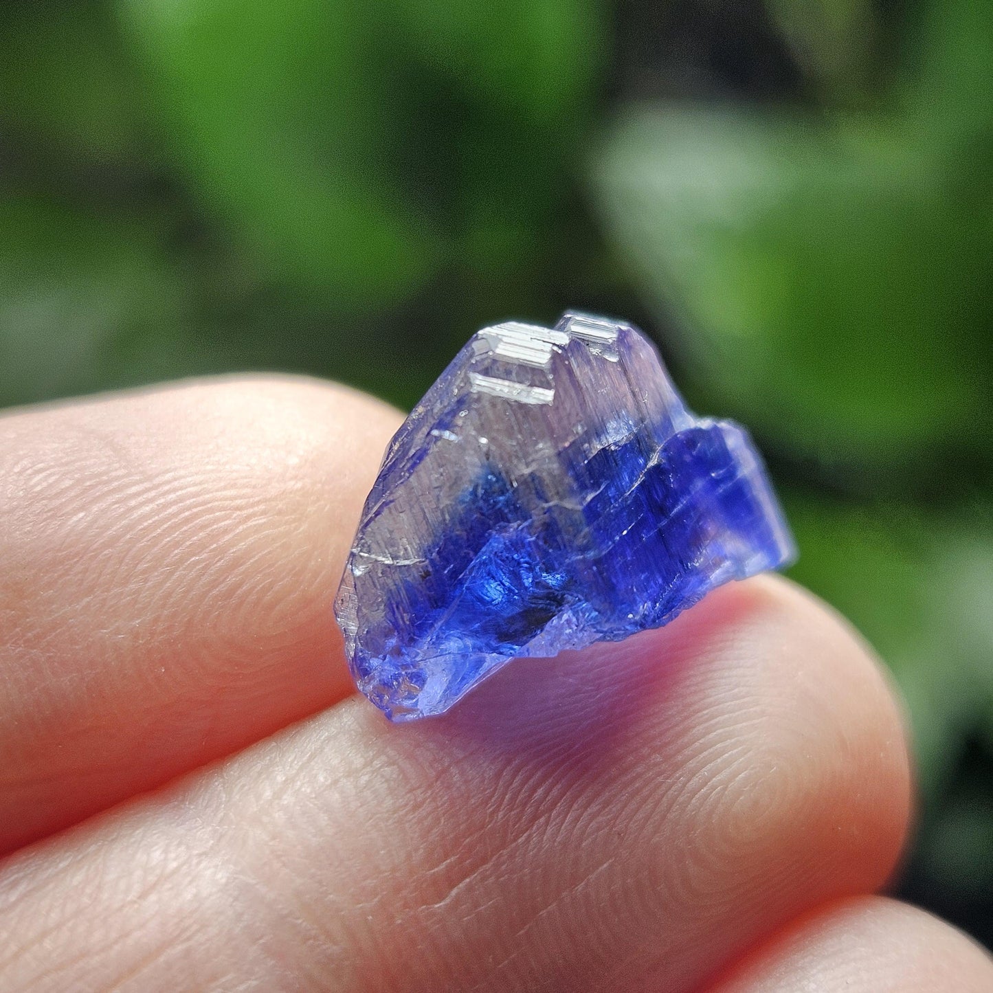 Tanzanite Bicolor Terminated Crystal 2.0 grams