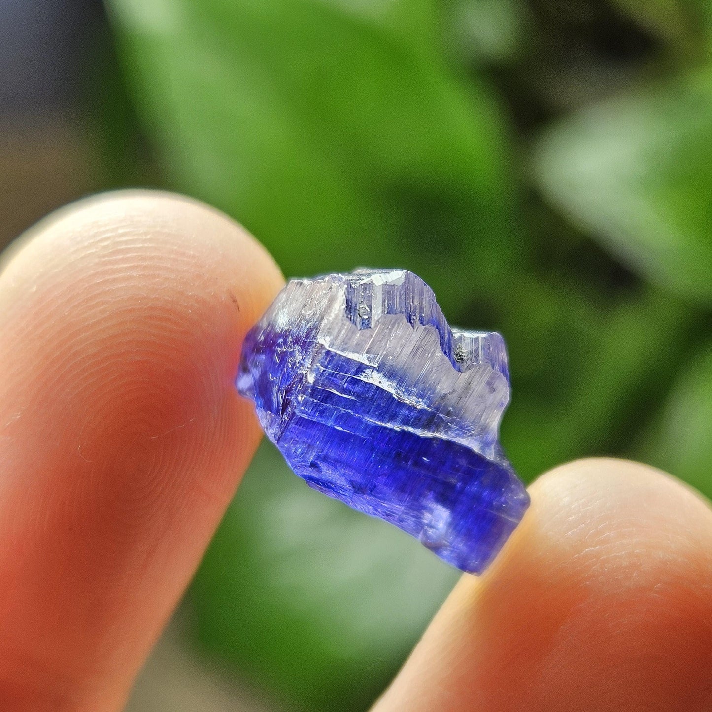 Tanzanite Bicolor Terminated Crystal 2.0 grams