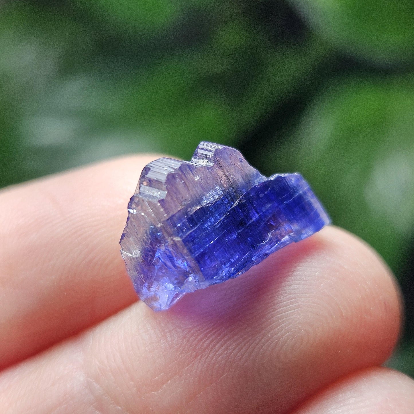 Tanzanite Bicolor Terminated Crystal 2.0 grams