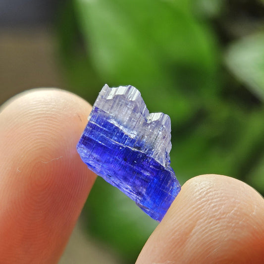 Tanzanite Bicolor Terminated Crystal 2.0 grams