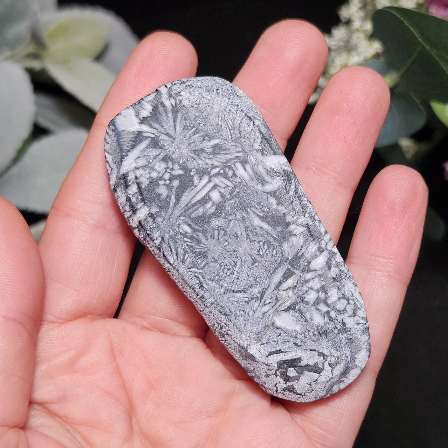 Chrysanthemum Stone, Polished Palm Stone