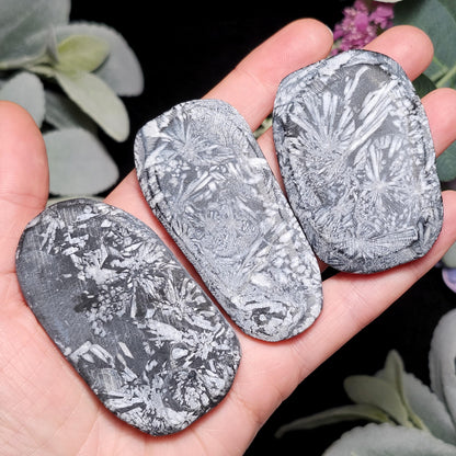 Chrysanthemum Stone, Polished Palm Stone